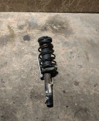 Volkswagen Tiguan Front shock absorber with coil spring 