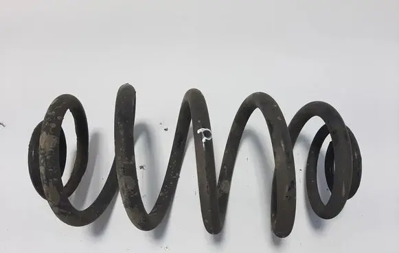 Opel Insignia A Rear coil spring 