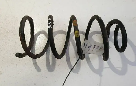 Fiat Punto (188) Rear coil spring