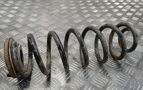 Volkswagen PASSAT B6 Rear coil spring