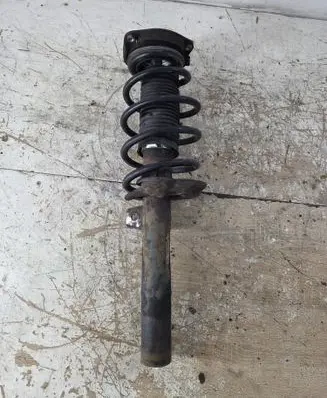 Volkswagen Golf V Front shock absorber/damper