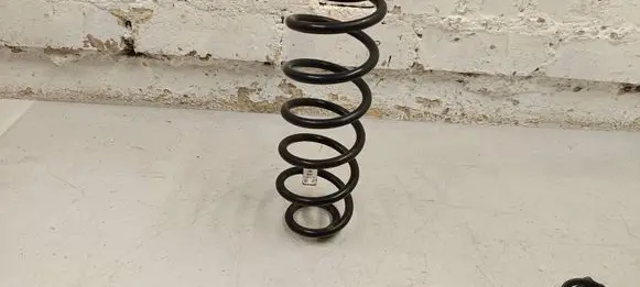 Rear coil spring