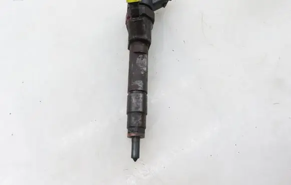 Renault Scenic II - Grand scenic II Fuel injector 7700111014 0445110021