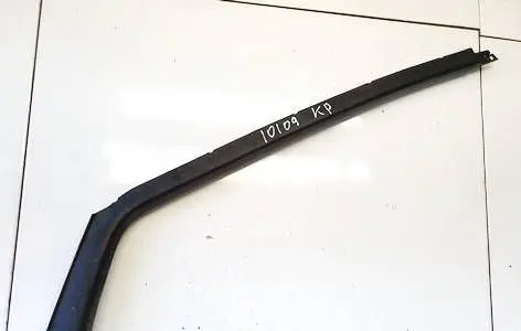 Renault Scenic II - Grand scenic II Other front door trim element 820016796