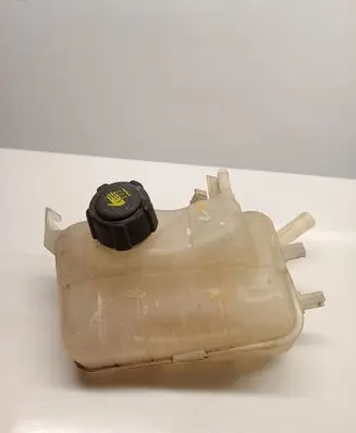 Renault Scenic III - Grand scenic III Coolant expansion tank/reservoir 217100005R