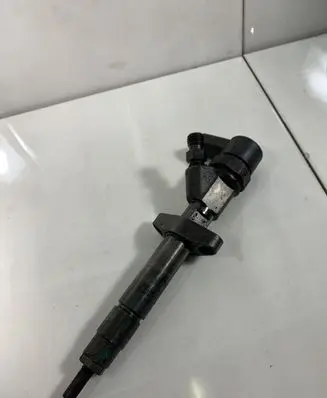 Renault Espace - Grand espace IV Fuel injector 0445110084