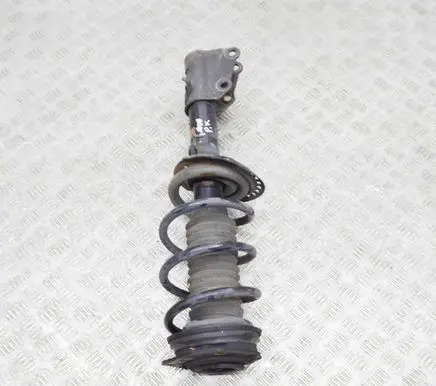 Renault Kangoo II Front shock absorber/damper 543020503R