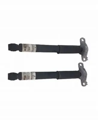 Chrysler Pacifica Rear shock absorber/damper 68484078AA