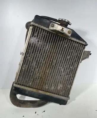 Ligier JS 50 Coolant radiator 