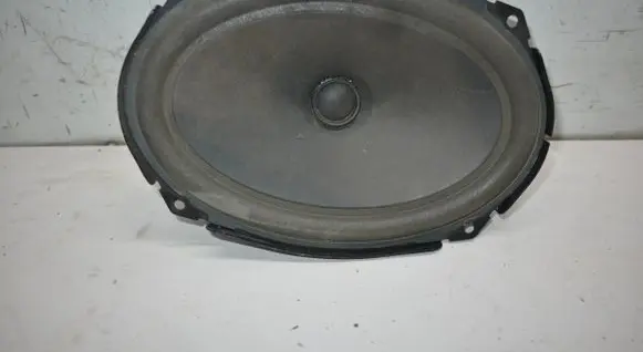 Rear door speaker