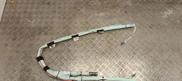 Tesla Model Y Roof airbag 1675066EUD