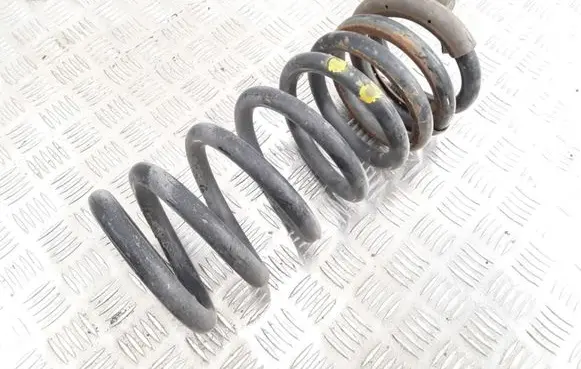 KIA Carnival Rear coil spring