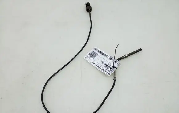 Exhaust gas temperature sensor