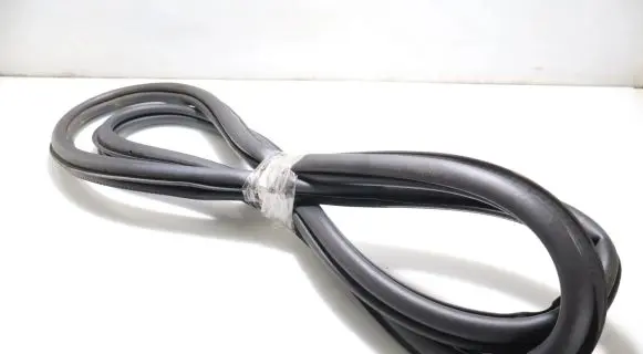 Volkswagen Polo VI Rubber seal rear door 