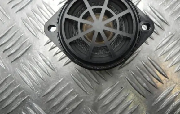 Audi Q5 SQ5 Front door high frequency speaker A0102501 R2055