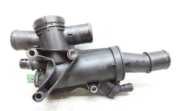 Thermostat/thermostat housing