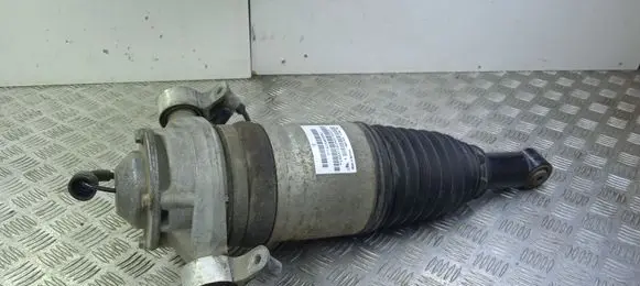 Porsche Cayenne (92A) Rear shock absorber/damper 7P5616020AG