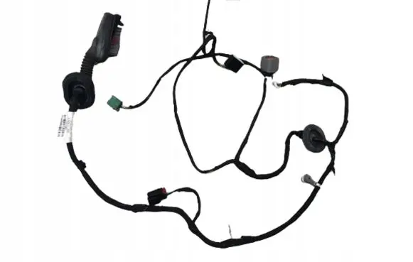 Rear door wiring loom