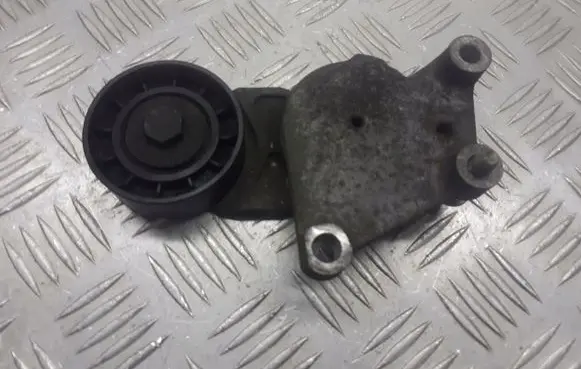 Ford C-MAX I Alternator belt tensioner pulley TF049