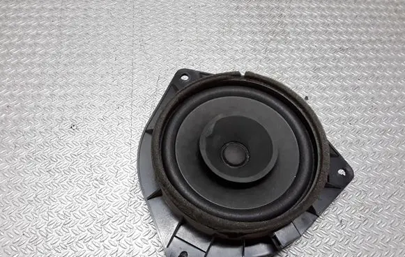 Rear door speaker