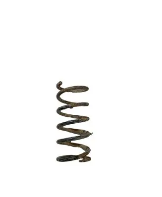 Toyota Avensis Verso Rear coil spring
