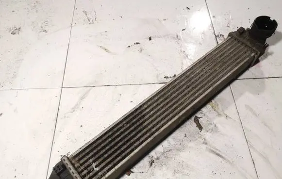 Mercedes-Benz B W245 Intercooler radiator a1695000000 q04g0976