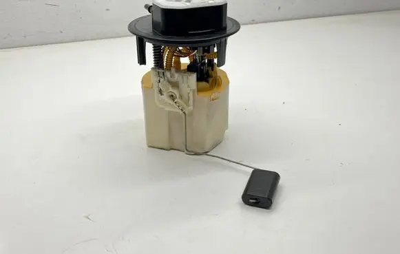 Peugeot 308 In-tank fuel pump 9677816480 28502471