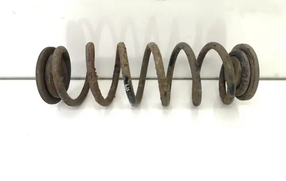 Volkswagen PASSAT B6 Rear coil spring