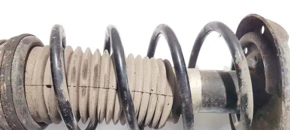 Front coil spring