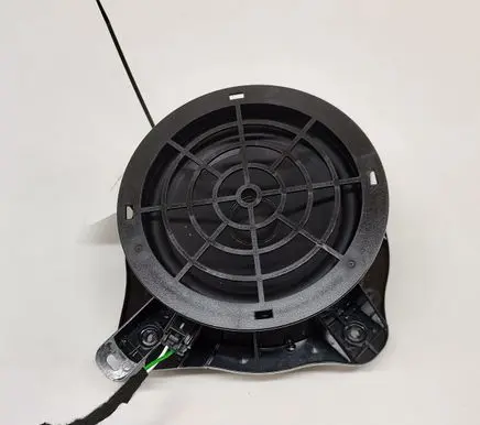 Rear door speaker