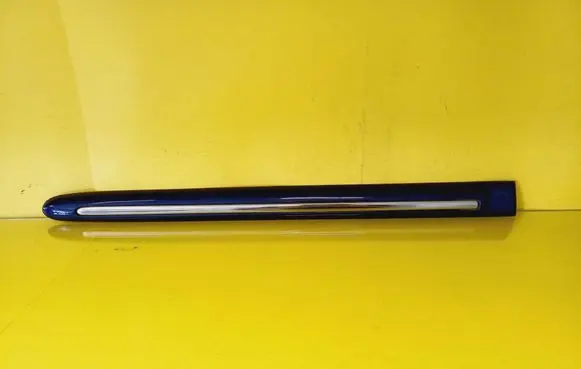 Rear door trim (molding)