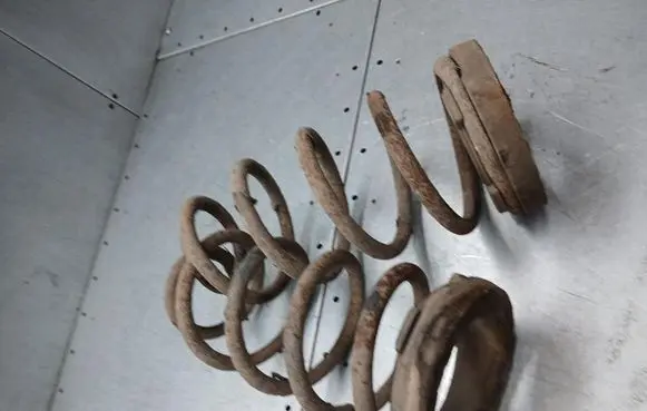 Fiat Punto (176) Rear coil spring