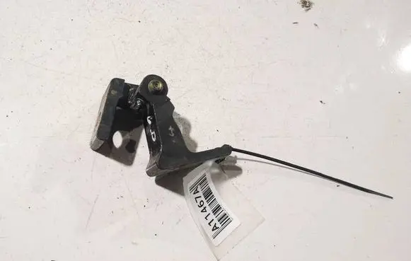 Seat Ibiza IV (6J,6P) Front door upper hinge
