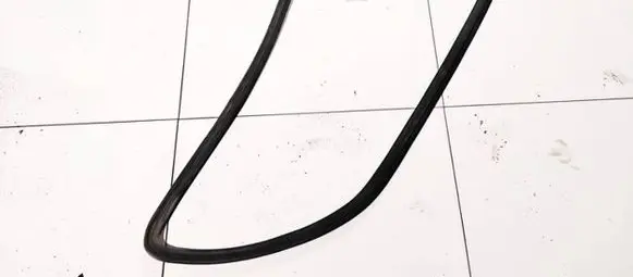 Volkswagen Sharan Rubber seal front coupe door 