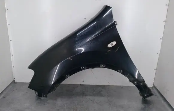Nissan Qashqai+2 Fender