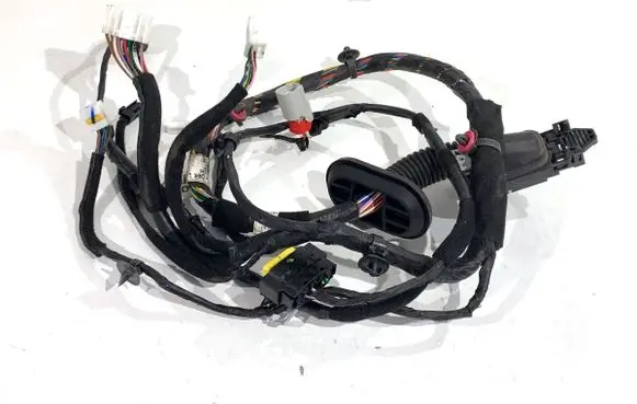 Hyundai Kona I Front door wiring loom 91600J9300