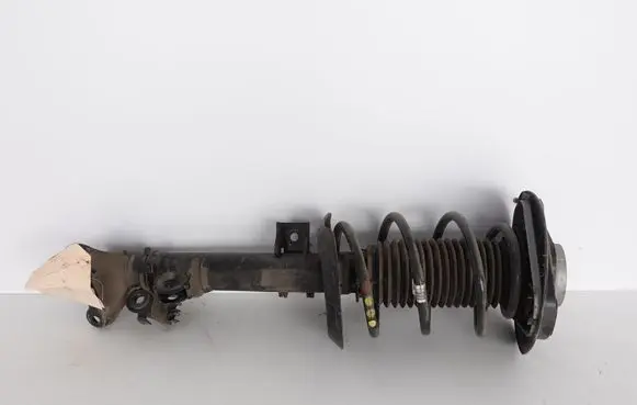 Mercedes-Benz CLS C218 X218 Front shock absorber with coil spring A2183209113