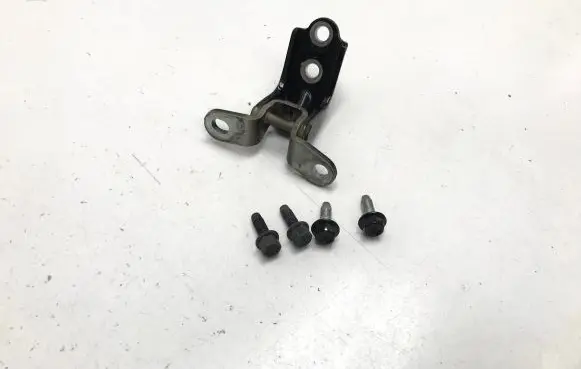 KIA Niro Rear door lower hinge