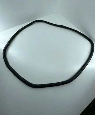 Audi A4 S4 B9 Front door rubber seal 8W0831721