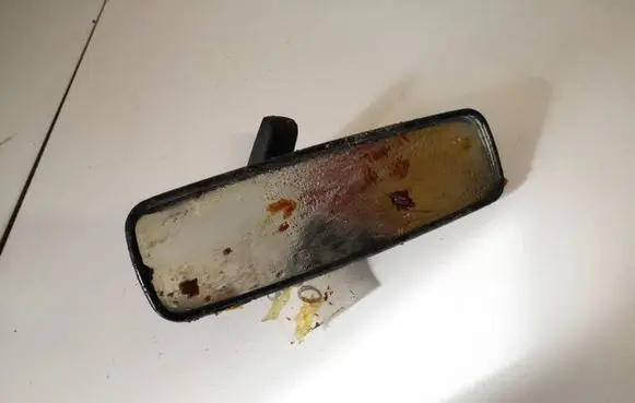 Renault Megane III Rear view mirror (interior) e20205028
