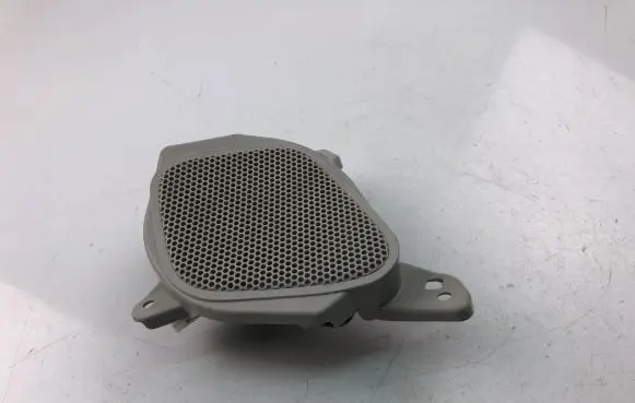 Panel speaker