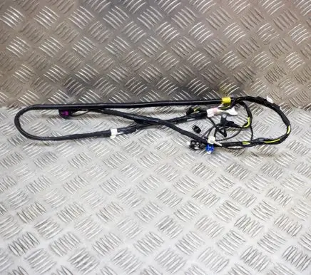Tesla Model 3 Other wiring loom 106878700D