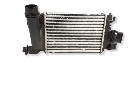 Dacia Sandero II Intercooler radiator 144968819R T79461S