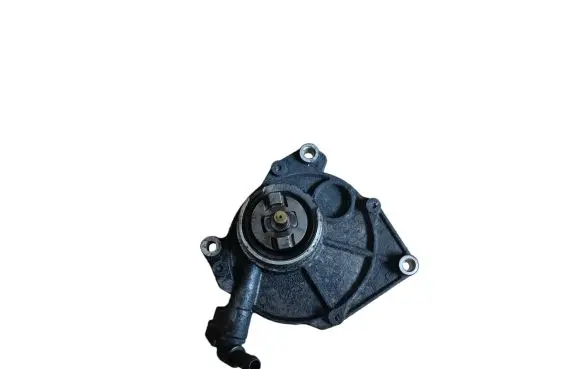 Hyundai ix 55 Vacuum pump 386103A500