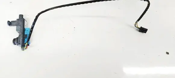 Tesla Model 3 Reversing camera 110061900C