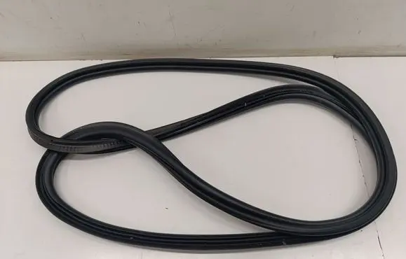 Trunk rubber seal (body)