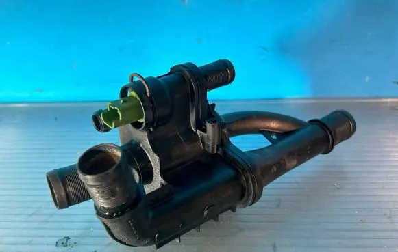 Thermostat/thermostat housing