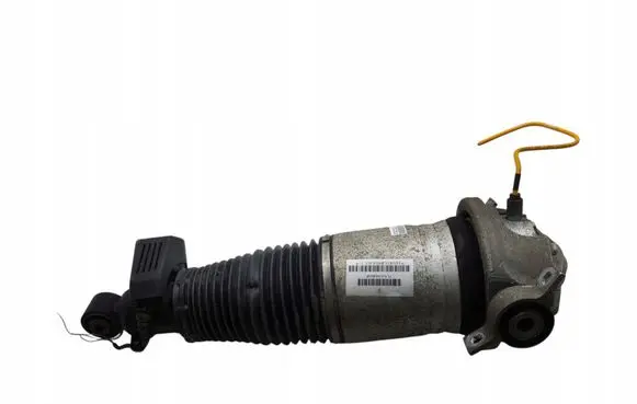 Porsche Cayenne (9PA) Rear shock absorber/damper 7L5616020