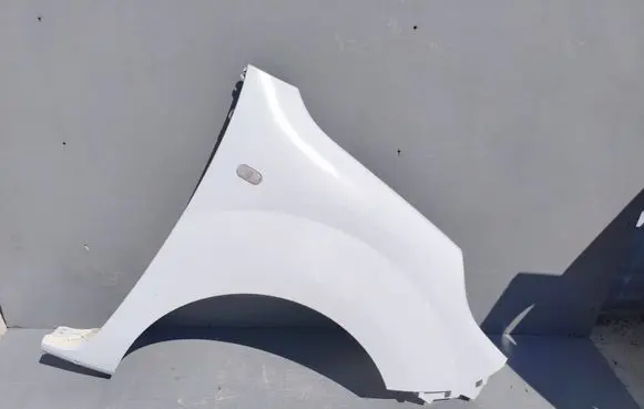 Renault Kangoo II Fender 631003601R