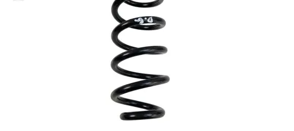 Ford Escape IV Rear coil spring LX615560 LX615560NAD L50862023